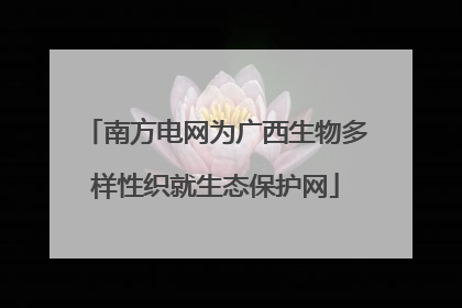南方电网为广西生物多样性织就生态保护网