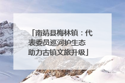 南靖县梅林镇：代表委员巡河护生态 助力古镇文旅升级