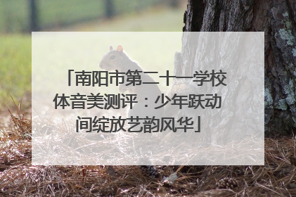 南阳市第二十一学校体音美测评：少年跃动间绽放艺韵风华