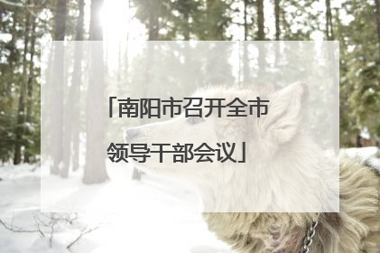 南阳市召开全市领导干部会议