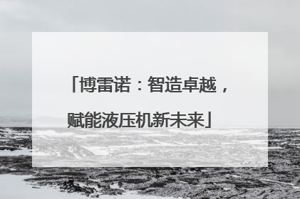 博雷诺：智造卓越，赋能液压机新未来