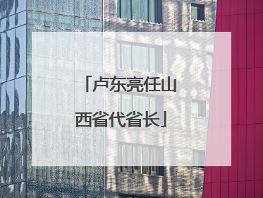 卢东亮任山西省代省长