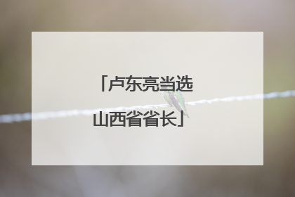 卢东亮当选山西省省长