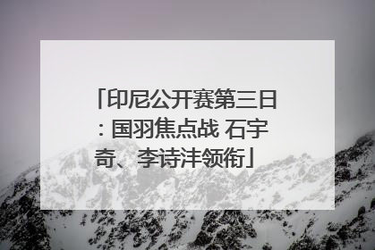 印尼公开赛第三日：国羽焦点战 石宇奇、李诗沣领衔