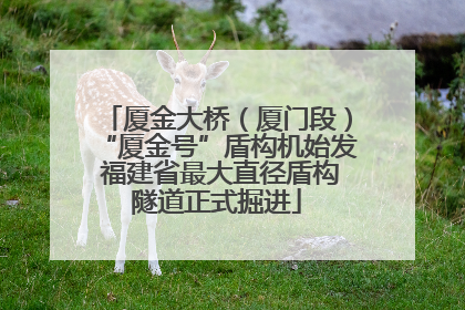厦金大桥（厦门段）“厦金号”盾构机始发 福建省最大直径盾构隧道正式掘进