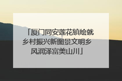 厦门同安莲花镇绘就乡村振兴新图景文明乡风润泽富美山川