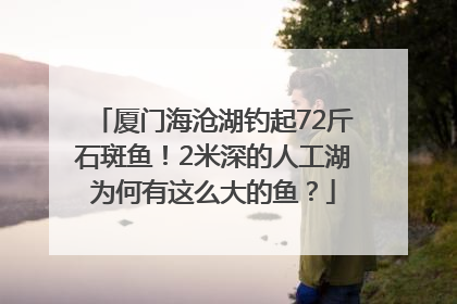 厦门海沧湖钓起72斤石斑鱼！2米深的人工湖为何有这么大的鱼？