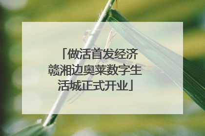 做活首发经济 赣湘边奥莱数字生活城正式开业