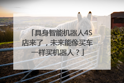 具身智能机器人4S店来了，未来能像买车一样买机器人？