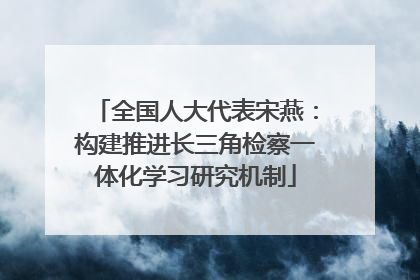 全国人大代表宋燕：构建推进长三角检察一体化学习研究机制