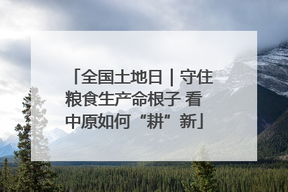 全国土地日｜守住粮食生产命根子 看中原如何“耕”新