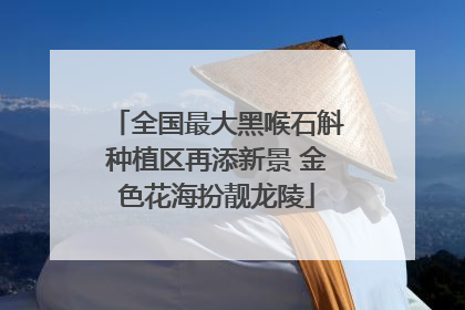 全国最大黑喉石斛种植区再添新景 金色花海扮靓龙陵