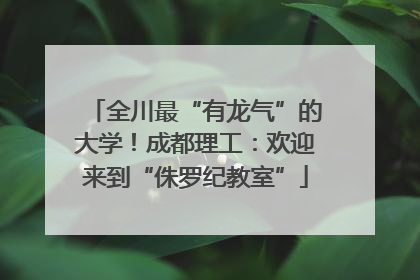 全川最“有龙气”的大学！成都理工：欢迎来到“侏罗纪教室”