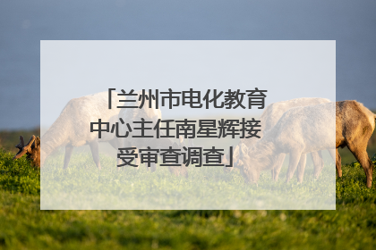 兰州市电化教育中心主任南星辉接受审查调查