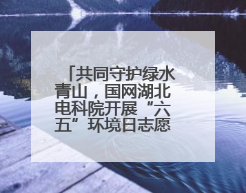共同守护绿水青山，国网湖北电科院开展“六五”环境日志愿活动