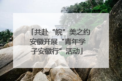 共赴“皖”美之约 安徽开展“青年学子安徽行”活动