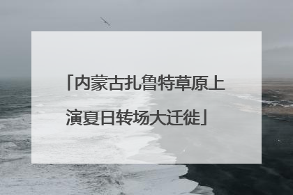 内蒙古扎鲁特草原上演夏日转场大迁徙