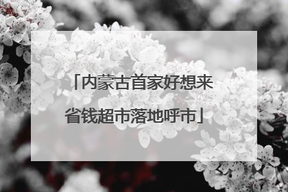 内蒙古首家好想来省钱超市落地呼市