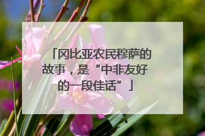 冈比亚农民穆萨的故事，是“中非友好的一段佳话”