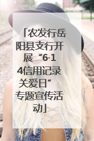 农发行岳阳县支行开展“6·14信用记录关爱日” 专题宣传活动