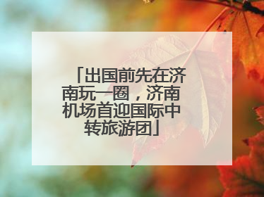 出国前先在济南玩一圈，济南机场首迎国际中转旅游团