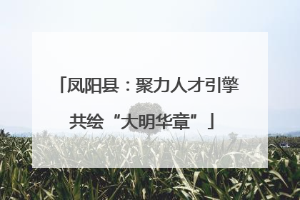 凤阳县：聚力人才引擎 共绘“大明华章”