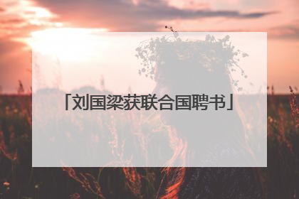 刘国梁获联合国聘书