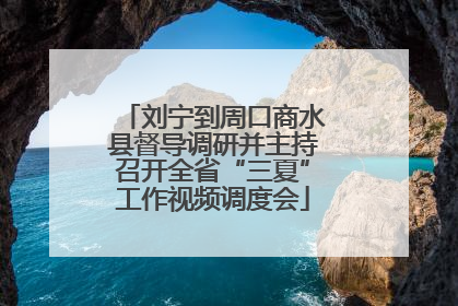 刘宁到周口商水县督导调研并主持召开全省“三夏”工作视频调度会