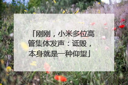 刚刚，小米多位高管集体发声：诋毁，本身就是一种仰望