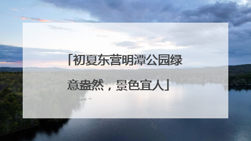 初夏东营明潭公园绿意盎然，景色宜人