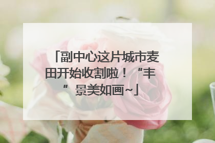 副中心这片城市麦田开始收割啦！“丰”景美如画~