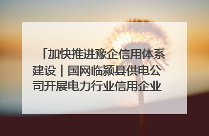 加快推进豫企信用体系建设｜国网临颍县供电公司开展电力行业信用企业现场咨询访谈工作