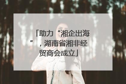助力“湘企出海”，湖南省湘非经贸商会成立