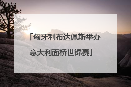 匈牙利布达佩斯举办意大利面桥世锦赛