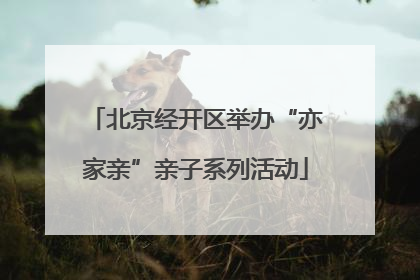 北京经开区举办“亦家亲”亲子系列活动