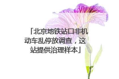 北京地铁站口非机动车乱停放调查，这站提供治理样本