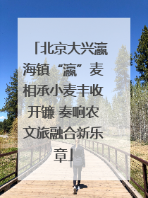 北京大兴瀛海镇“瀛”麦相承小麦丰收开镰 奏响农文旅融合新乐章
