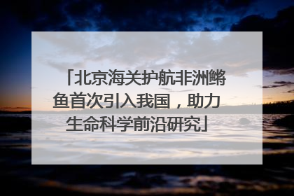 北京海关护航非洲鳉鱼首次引入我国，助力生命科学前沿研究