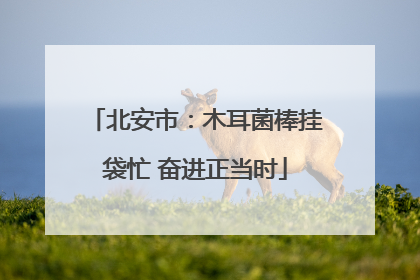 北安市：木耳菌棒挂袋忙 奋进正当时
