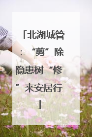 北湖城管：“剪”除隐患树“修”来安居行