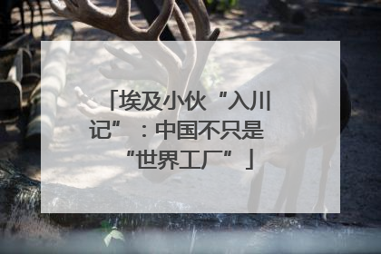 埃及小伙“入川记”：中国不只是“世界工厂”