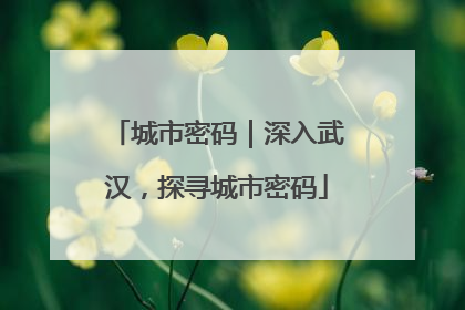 城市密码｜深入武汉，探寻城市密码
