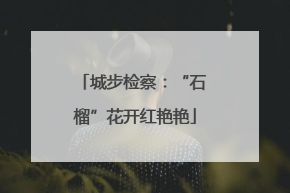 城步检察：“石榴”花开红艳艳