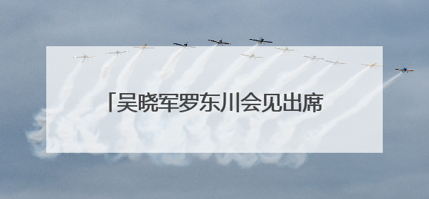 吴晓军罗东川会见出席青洽会的国内外嘉宾