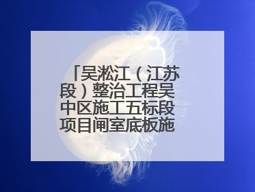 吴淞江（江苏段）整治工程吴中区施工五标段项目闸室底板施工浇筑完成