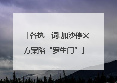 各执一词 加沙停火方案陷“罗生门”