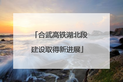 合武高铁湖北段建设取得新进展