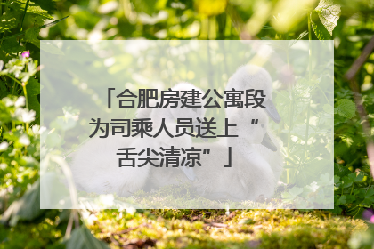 合肥房建公寓段为司乘人员送上“舌尖清凉”