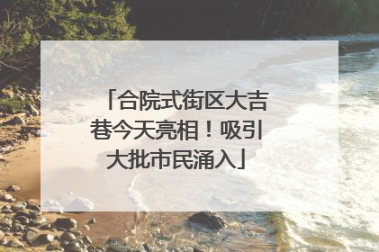合院式街区大吉巷今天亮相！吸引大批市民涌入