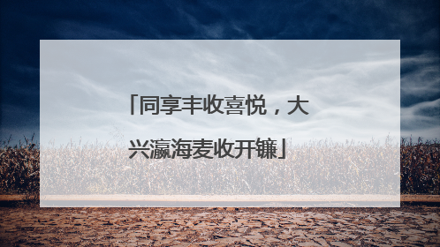 同享丰收喜悦，大兴瀛海麦收开镰